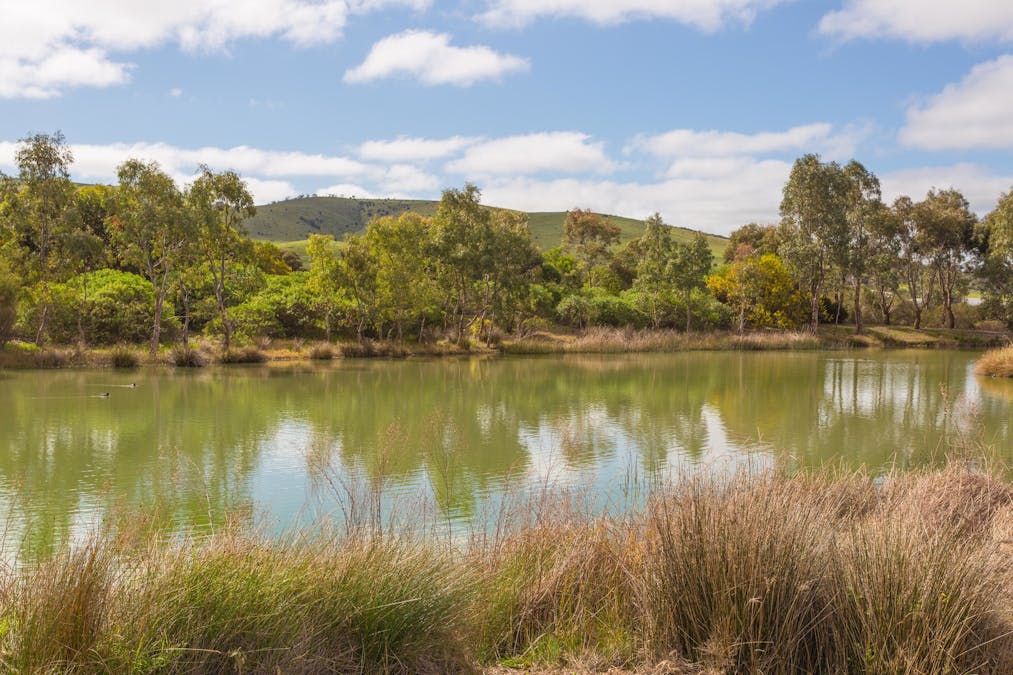 6 Springbett Drive, Hayborough, SA, 5211 - Image 34