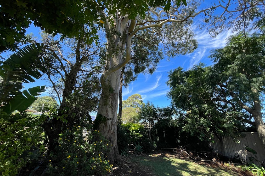 14 Lyndhurst Court, Newtown, QLD, 4350 - Image 25