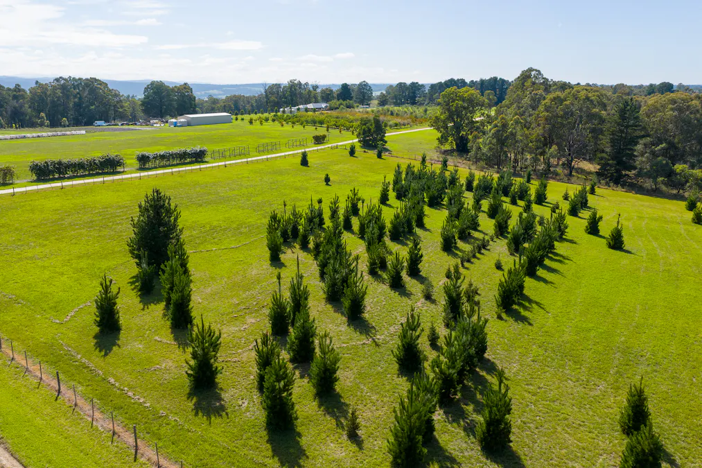 185  McNamaras Road, Sarsfield, VIC, 3875 - Image 3