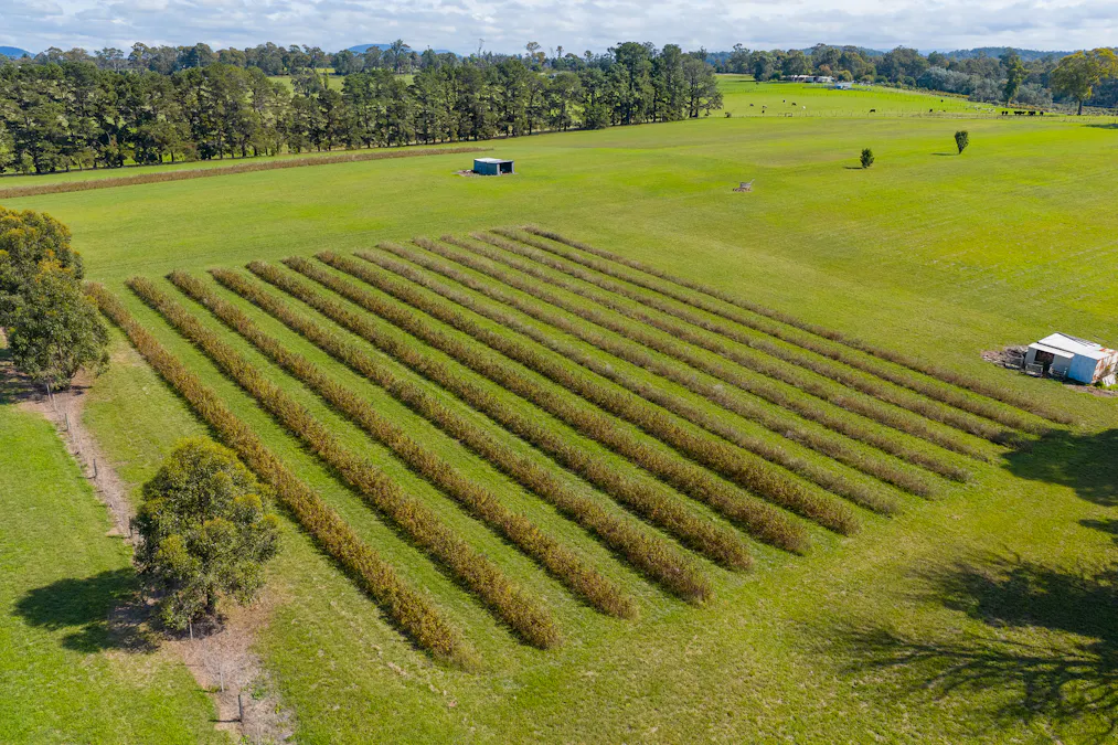 185  McNamaras Road, Sarsfield, VIC, 3875 - Image 4