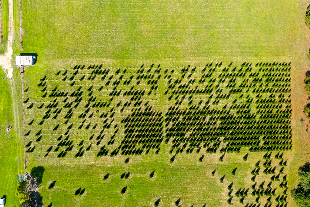 185  McNamaras Road, Sarsfield, VIC, 3875 - Image 17