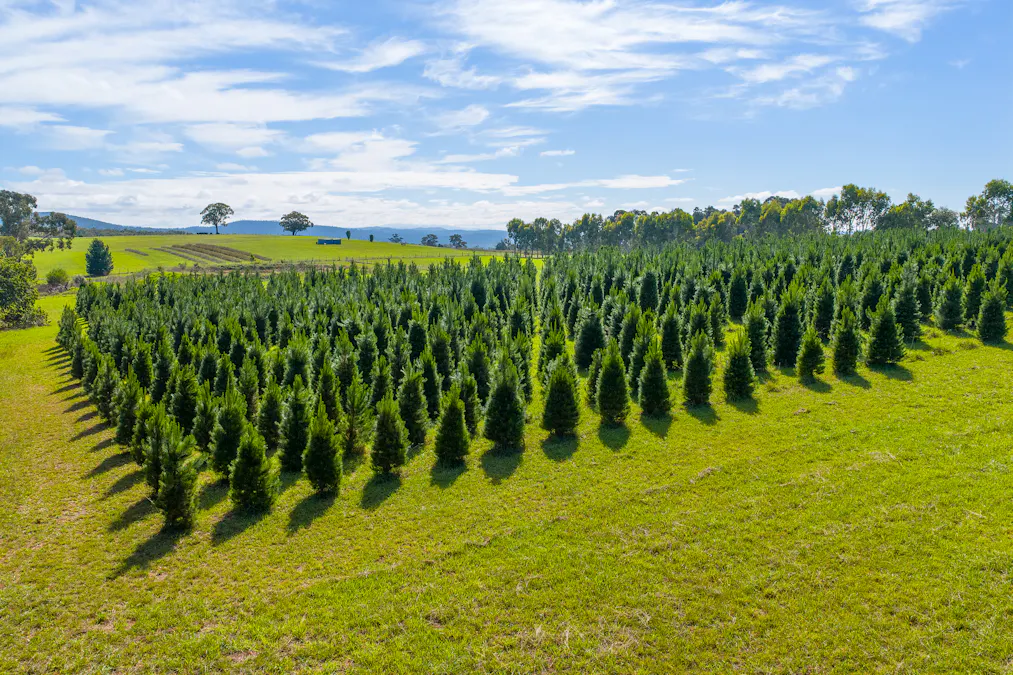 185  McNamaras Road, Sarsfield, VIC, 3875 - Image 1