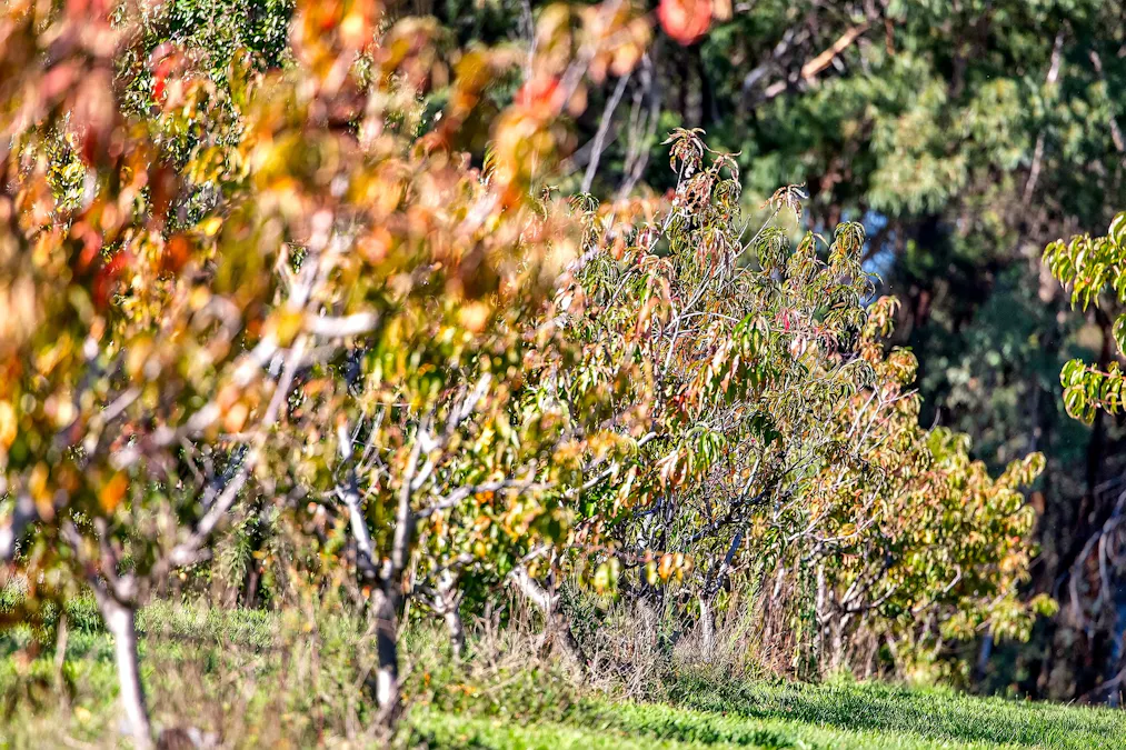 185  McNamaras Road, Sarsfield, VIC, 3875 - Image 23