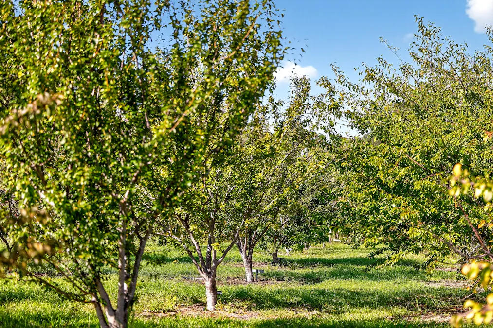 185  McNamaras Road, Sarsfield, VIC, 3875 - Image 25