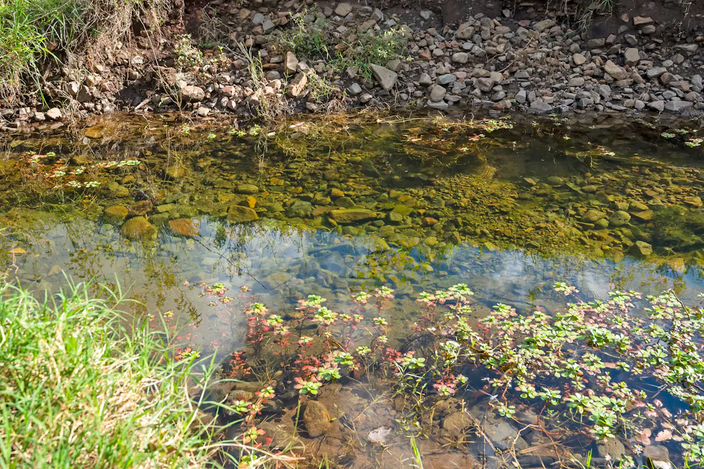 Lot 172 Gympie-Woolooga Road, Lower Wonga, QLD, 4570 - Image 8