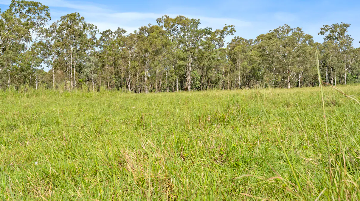 Lot 172 Gympie-Woolooga Road, Lower Wonga, QLD, 4570 - Image 11