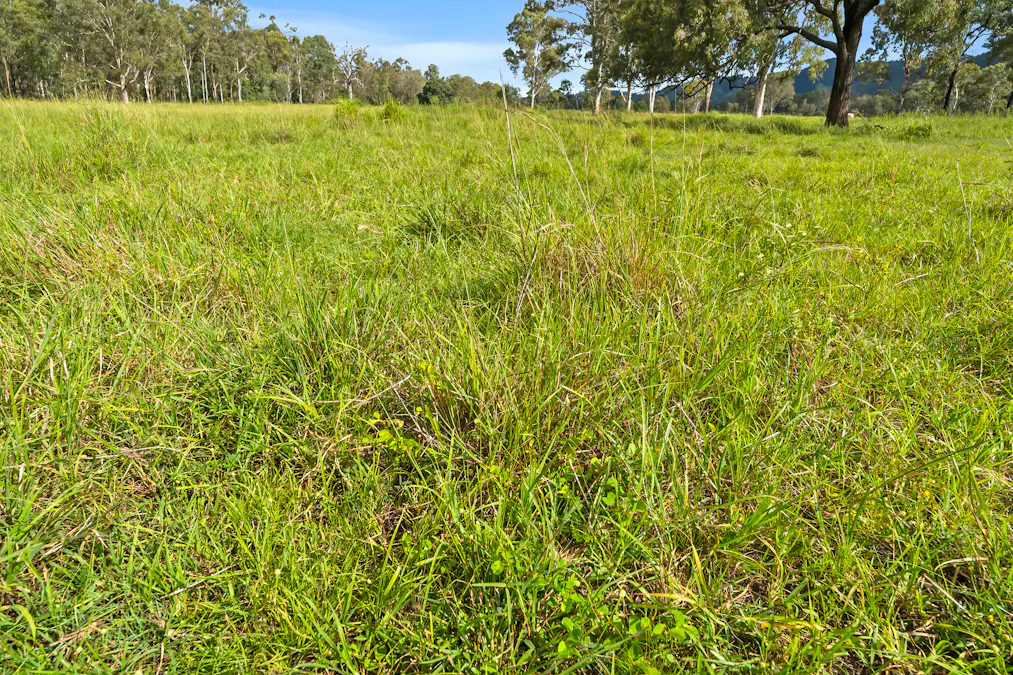 Lot 172 Gympie-Woolooga Road, Lower Wonga, QLD, 4570 - Image 10