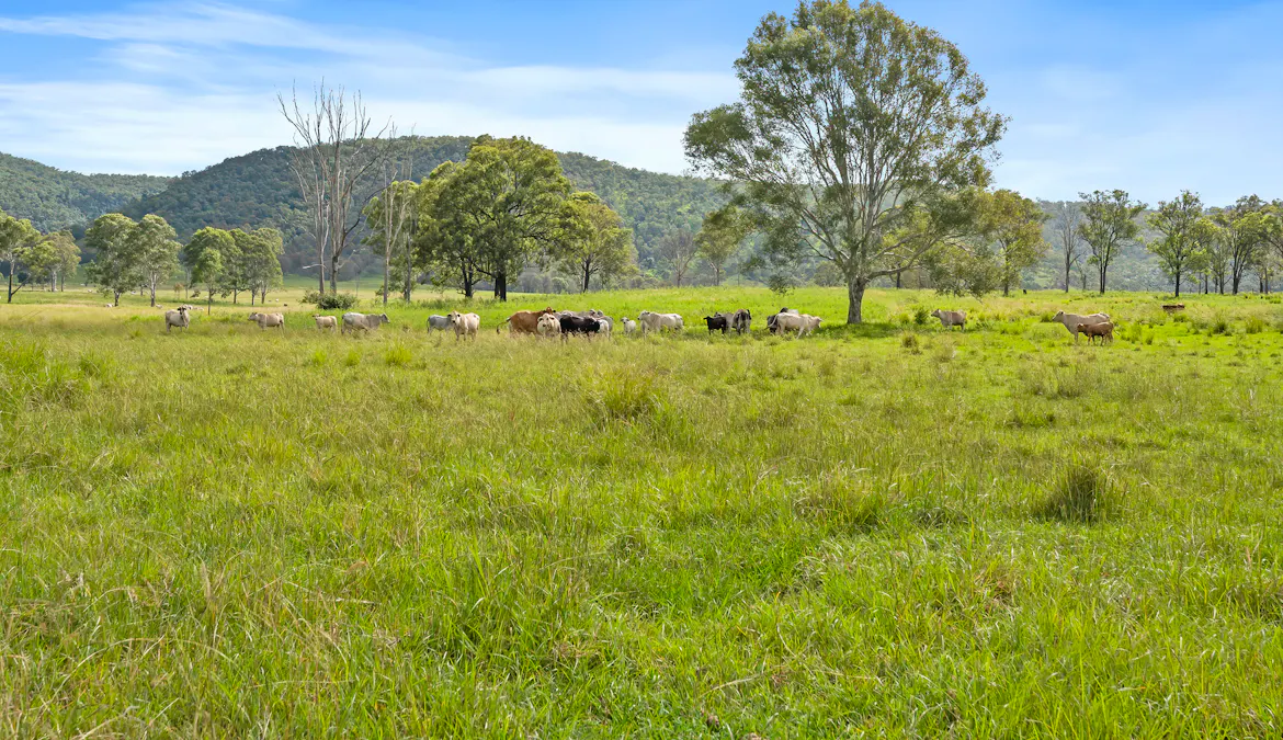 Lot 172 Gympie-Woolooga Road, Lower Wonga, QLD, 4570 - Image 21