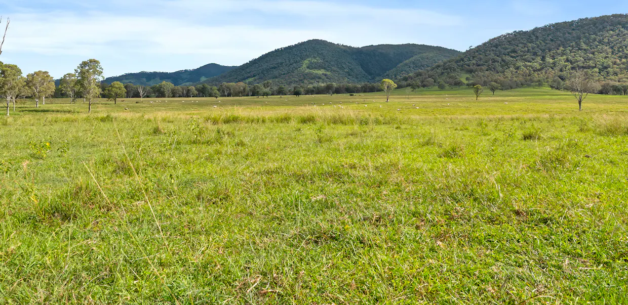 Lot 172 Gympie-Woolooga Road, Lower Wonga, QLD, 4570 - Image 22
