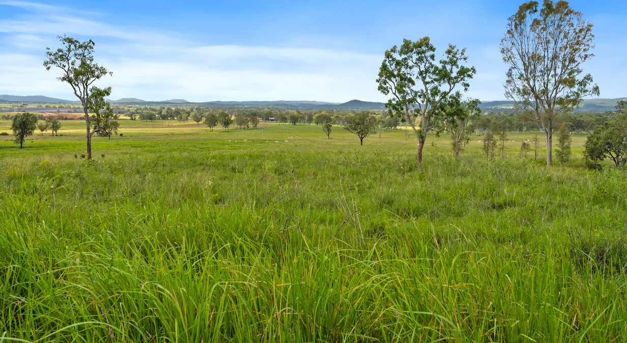 Lot 172 Gympie-Woolooga Road, Lower Wonga, QLD, 4570 - Image 23