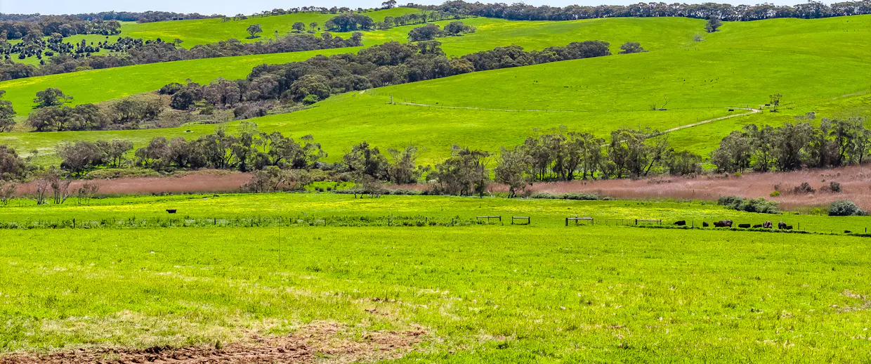 2715 Range Road, Willow Creek, SA, 5211 - Image 9