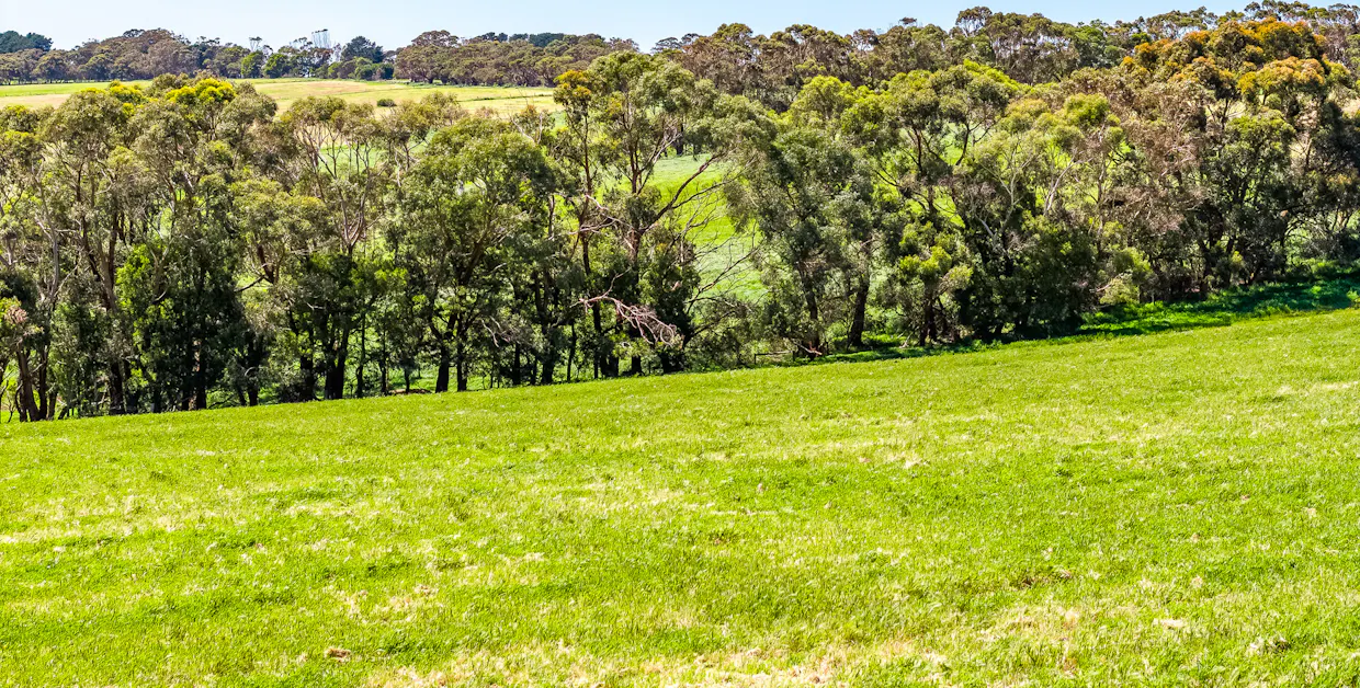 2715 Range Road, Willow Creek, SA, 5211 - Image 10
