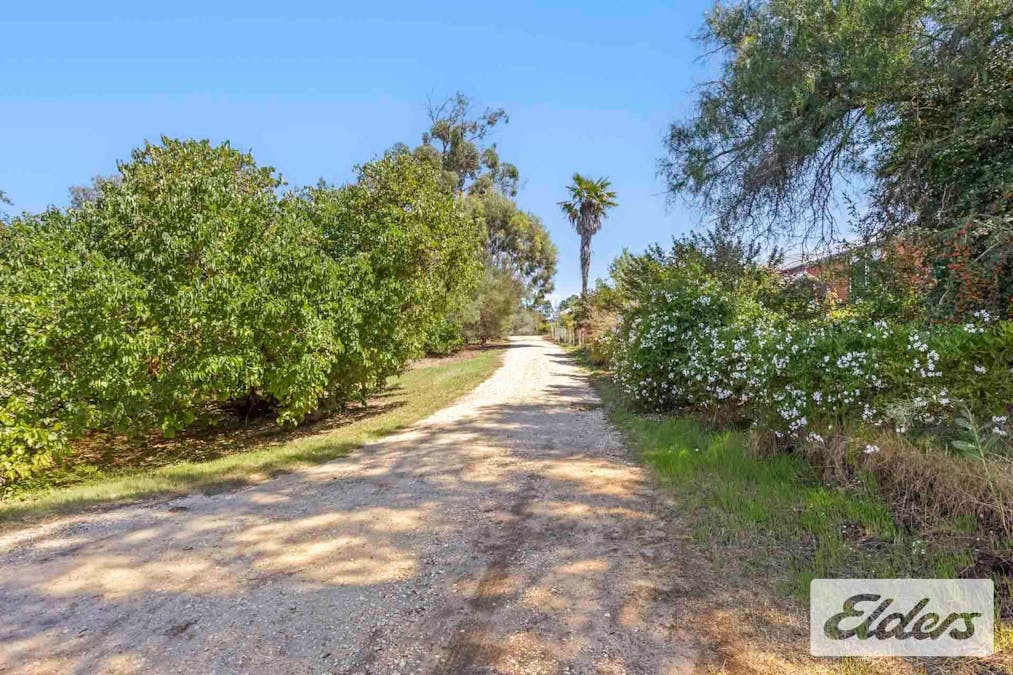 2a Palmerston Street, Newstead, VIC, 3462 - Image 29