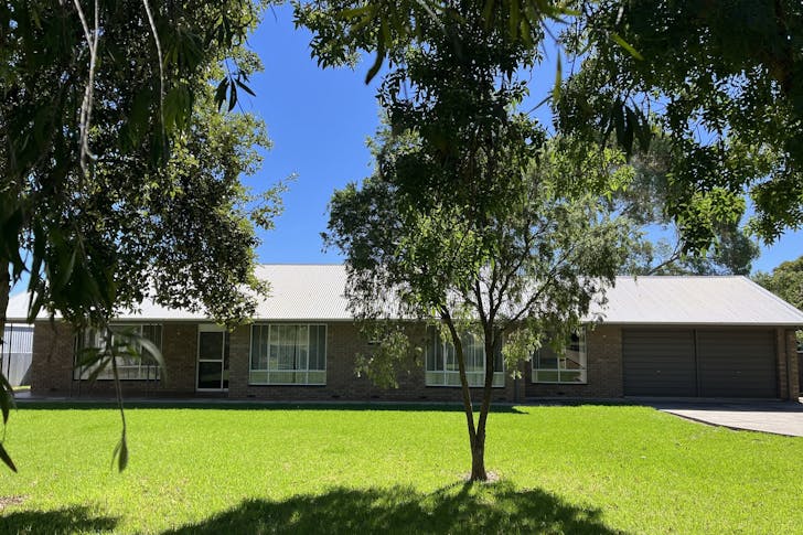 56 Gordon Street, Naracoorte, SA, 5271