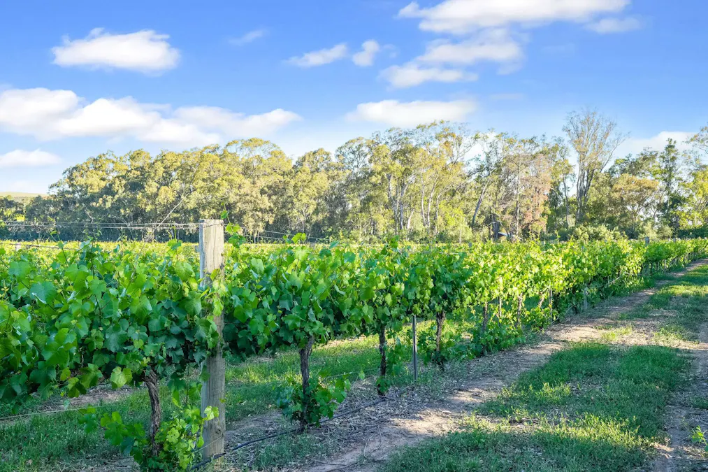 95 Fairfield Road, Penwortham, SA, 5453 - Image 4