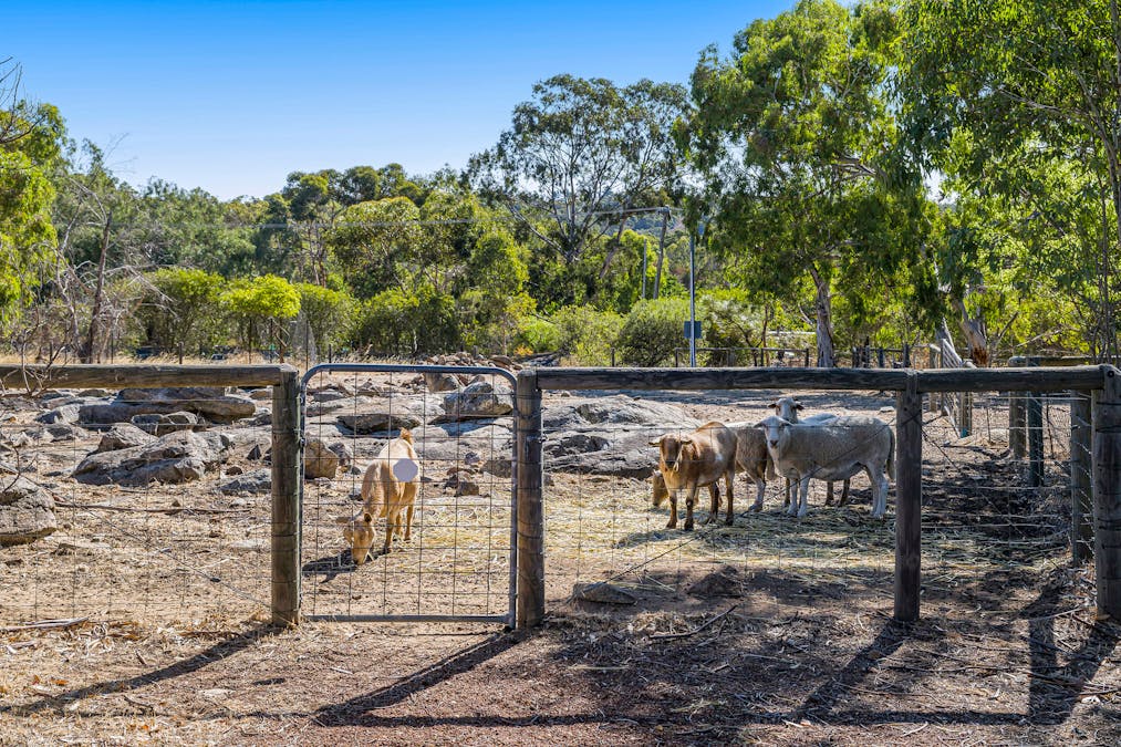 18 Evelyn Place, Bullsbrook, WA, 6084 - Image 23