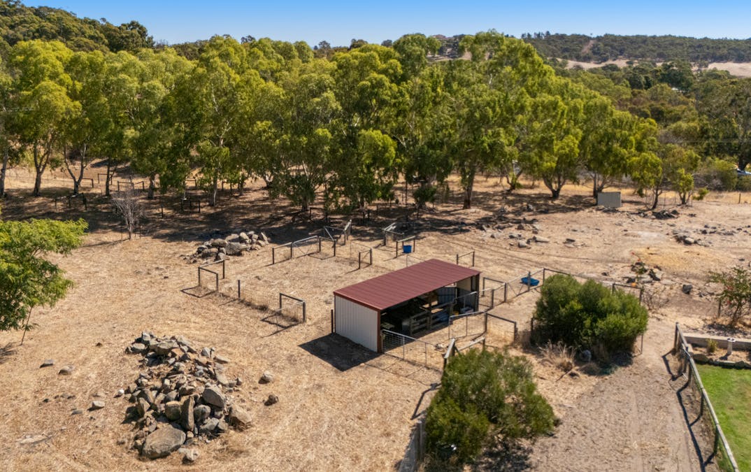 18 Evelyn Place, Bullsbrook, WA, 6084 - Image 20