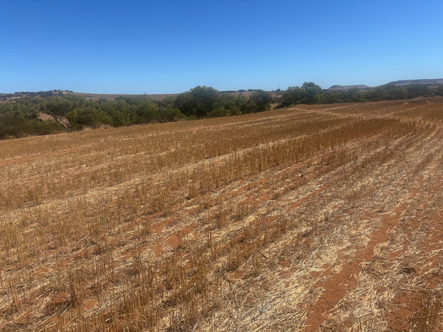 Lot 1 Giles Road, Moonyoonooka, WA, 6532 - Image 1