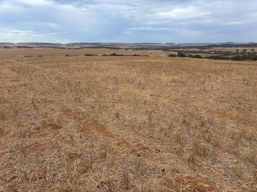 Lot 1 Giles Road, Moonyoonooka, WA, 6532 - Image 6