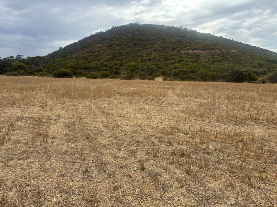 Lot 1 Giles Road, Moonyoonooka, WA, 6532 - Image 8