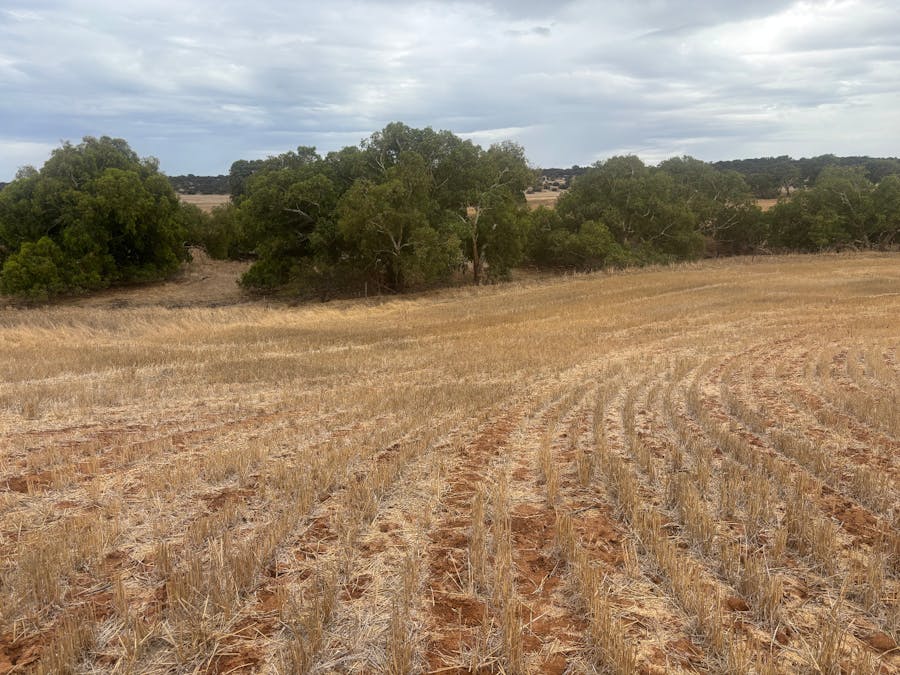 Lot 1 Giles Road, Moonyoonooka, WA, 6532 - Image 16