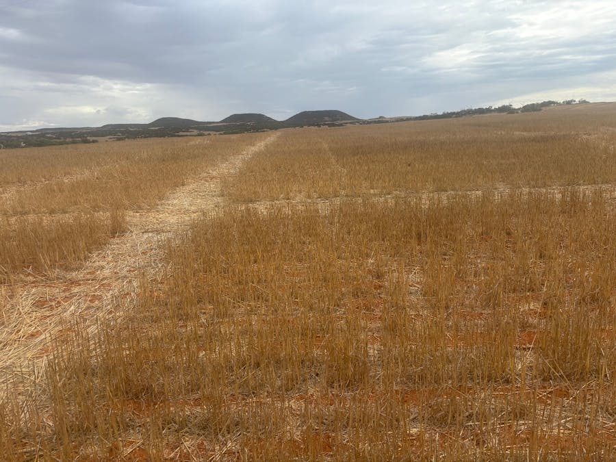 Lot 1 Giles Road, Moonyoonooka, WA, 6532 - Image 13