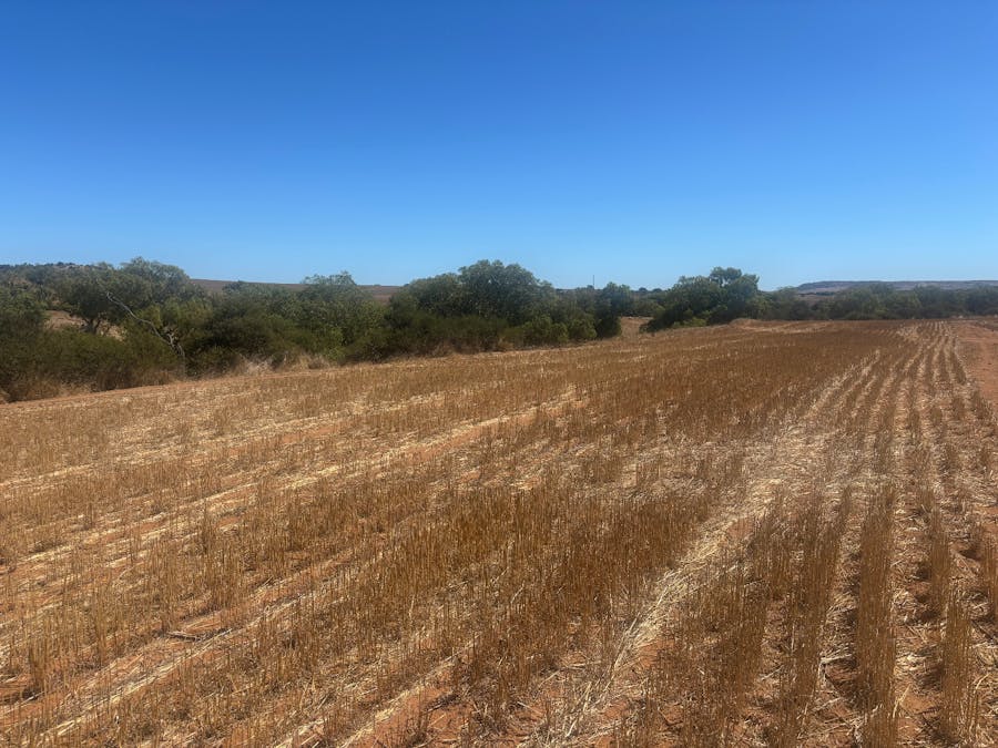 Lot 1 Giles Road, Moonyoonooka, WA, 6532 - Image 14