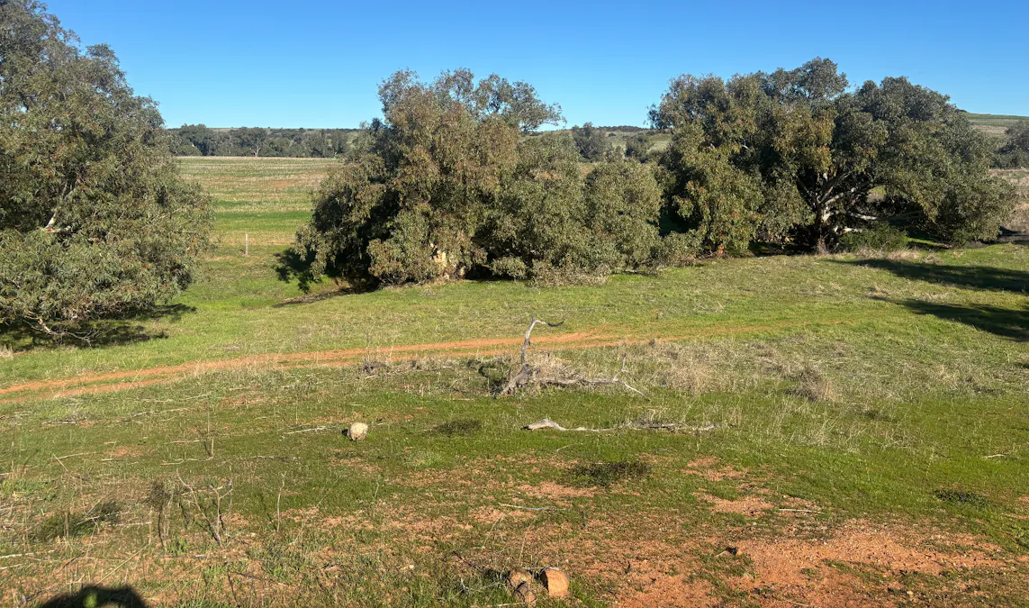 Lot 1 Giles Road, Moonyoonooka, WA, 6532 - Image 16
