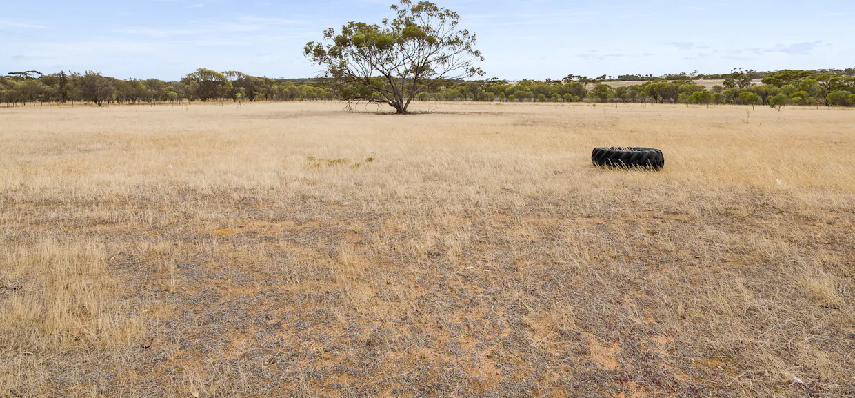 21 York Gum Drive, Goomalling, WA, 6460 - Image 27