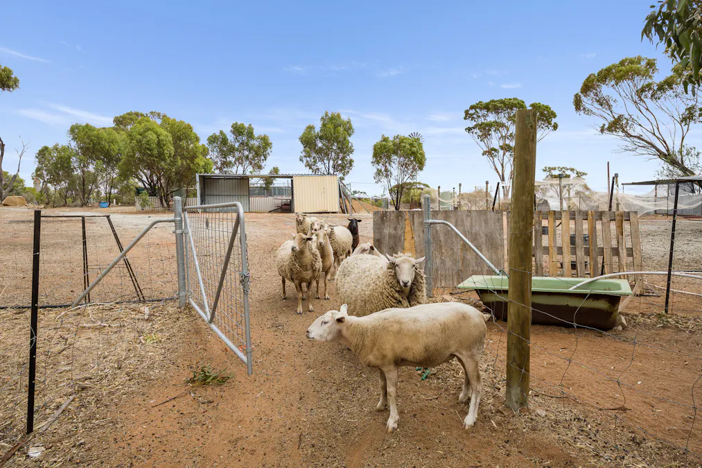 21 York Gum Drive, Goomalling, WA, 6460 - Image 25