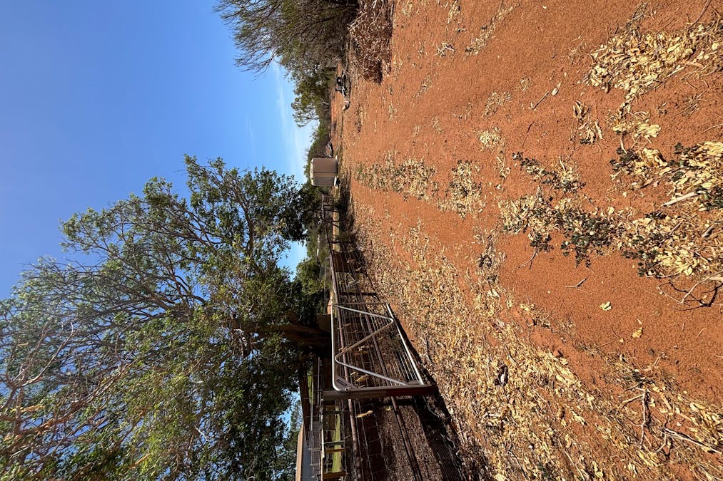 147 Boor Street, Kingsford, WA, 6701 - Image 9