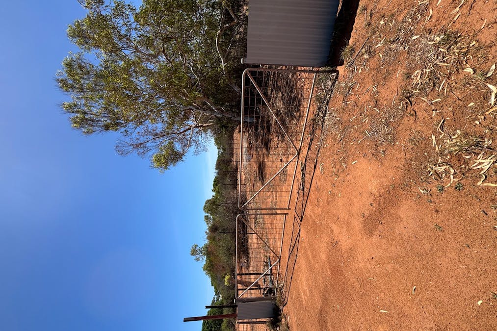 147 Boor Street, Kingsford, WA, 6701 - Image 11