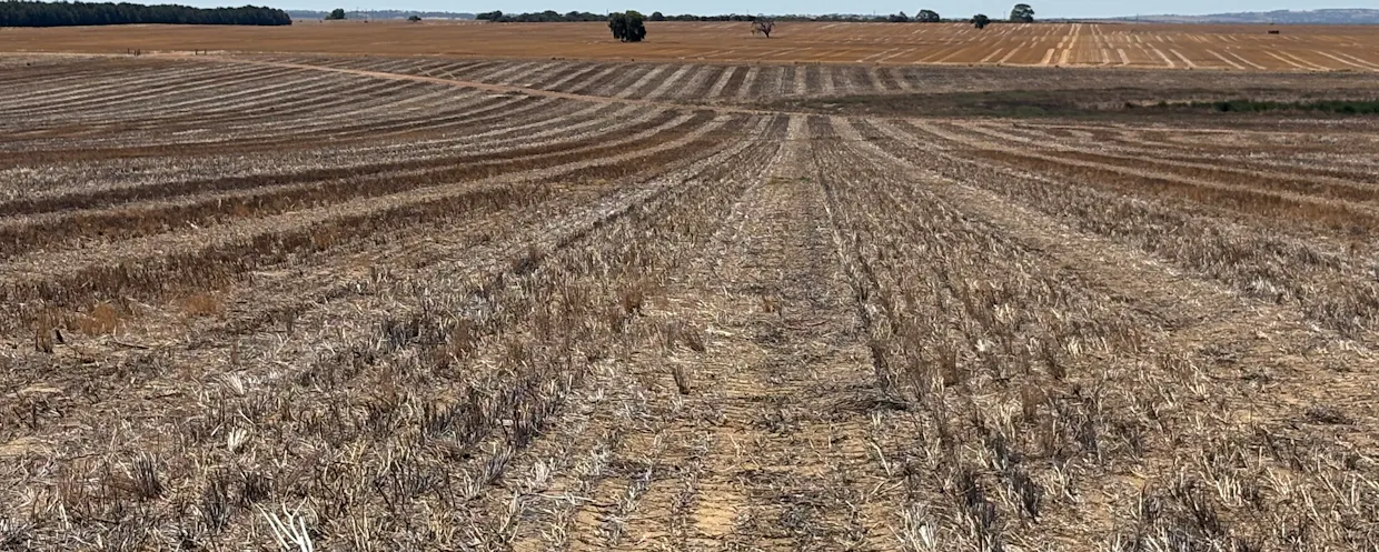 4779 Northwest Road, Dandaragan, WA, 6507 - Image 7