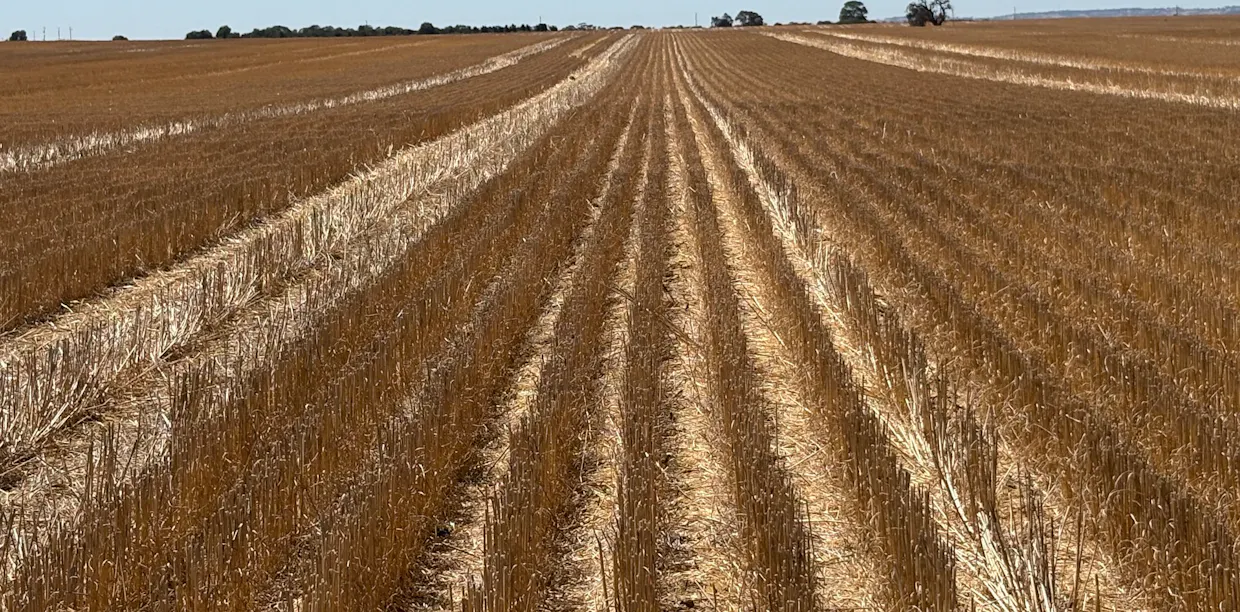 4779 Northwest Road, Dandaragan, WA, 6507 - Image 9