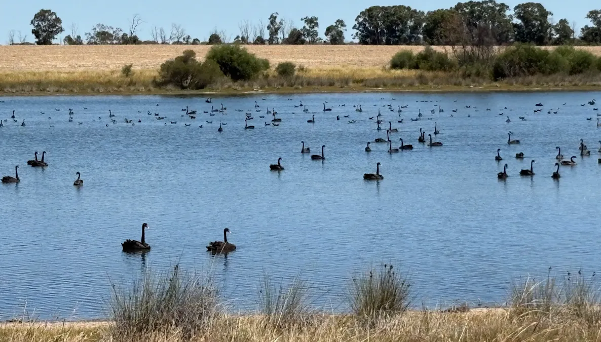 4779 Northwest Road, Dandaragan, WA, 6507 - Image 1