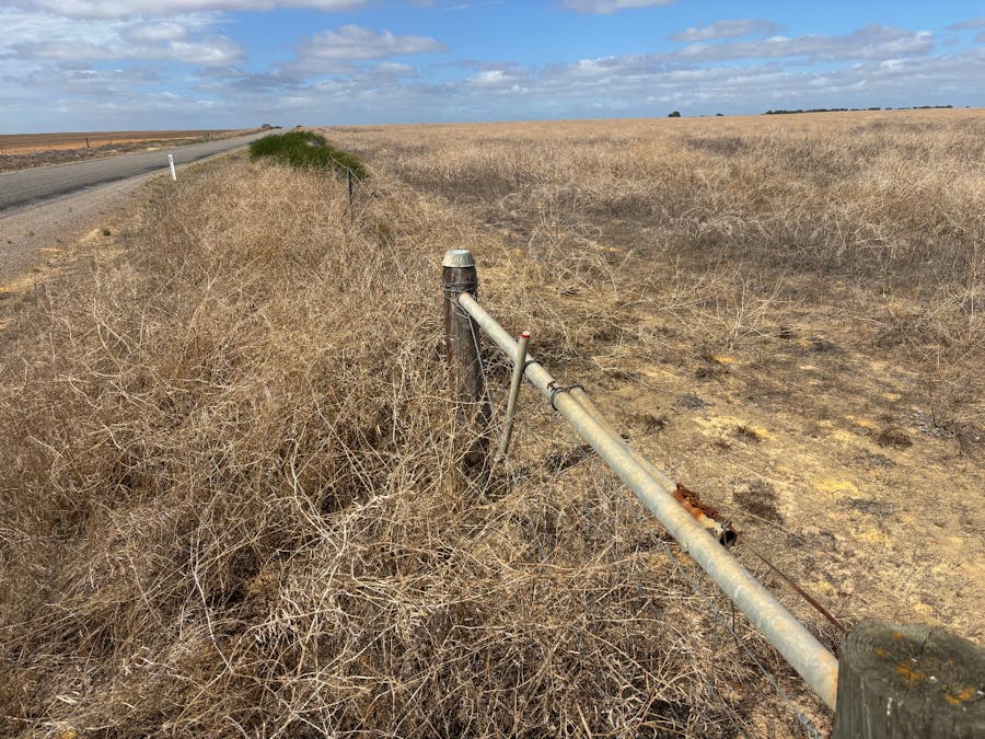 Lot 9678 Geraldton Mount Magnet Road, Wicherina, WA, 6532 - Image 4