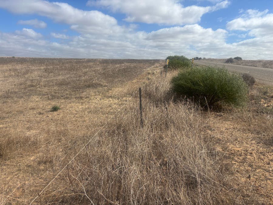 Lot 9678 Geraldton Mount Magnet Road, Wicherina, WA, 6532 - Image 6
