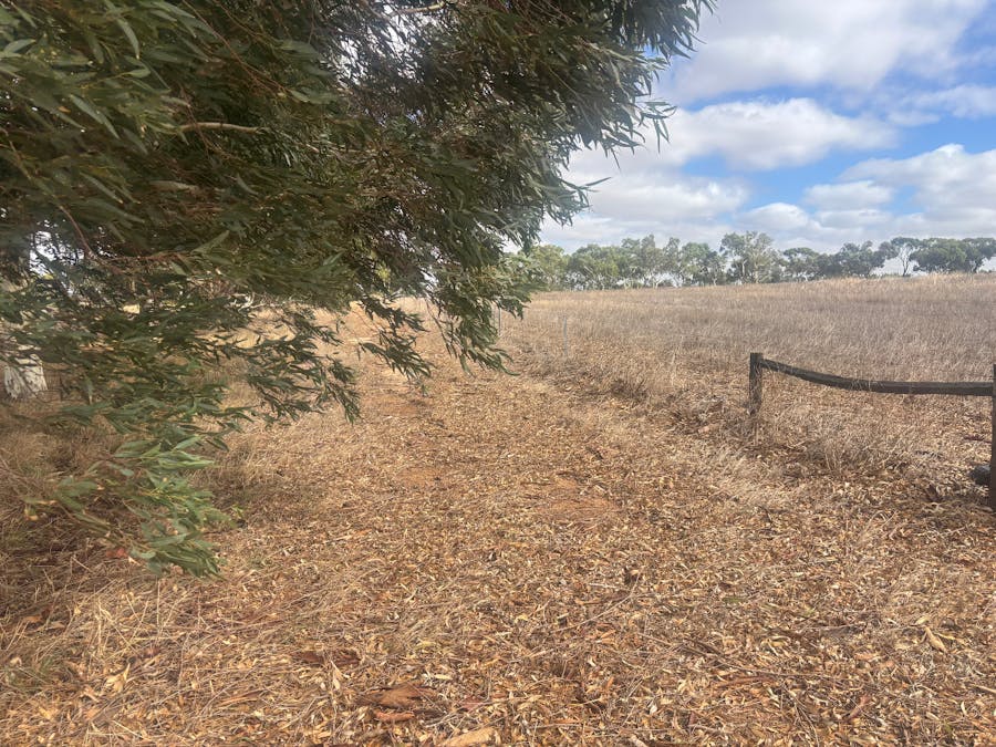Lot 9678 Geraldton Mount Magnet Road, Wicherina, WA, 6532 - Image 1