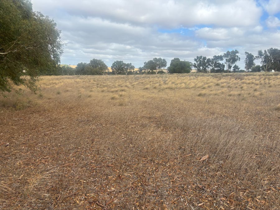 Lot 9678 Geraldton Mount Magnet Road, Wicherina, WA, 6532 - Image 3