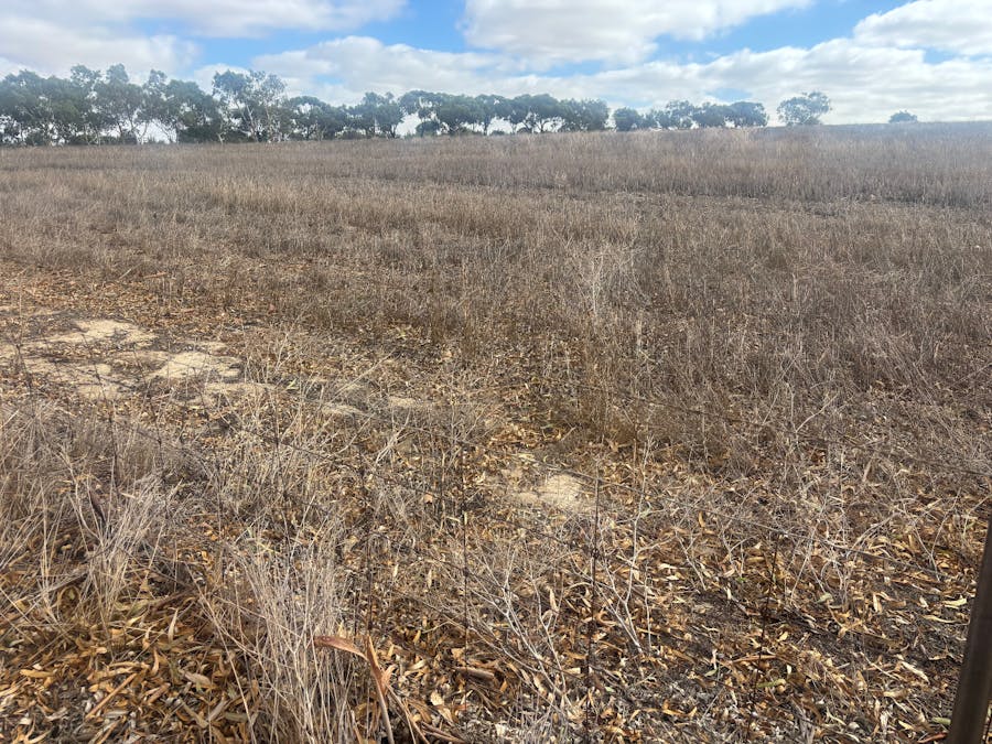 Lot 9678 Geraldton Mount Magnet Road, Wicherina, WA, 6532 - Image 9