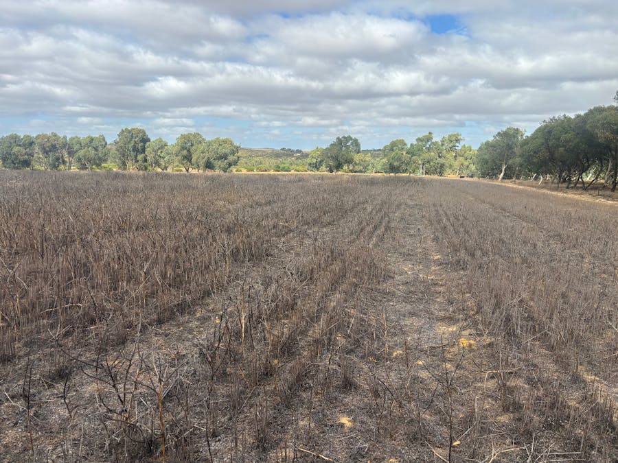 Lot 9678 Geraldton Mount Magnet Road, Wicherina, WA, 6532 - Image 2