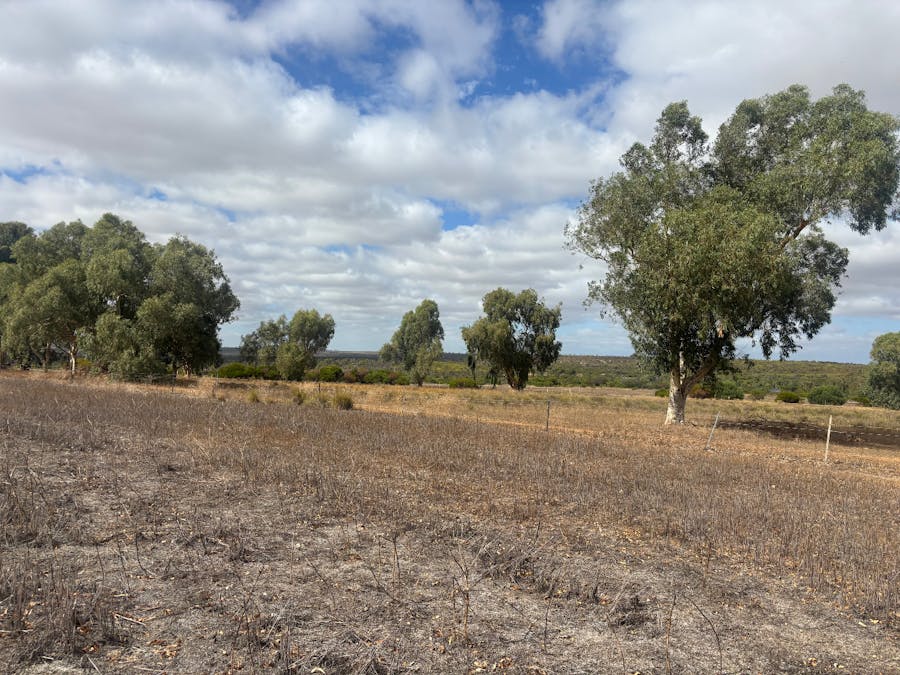 Lot 9678 Geraldton Mount Magnet Road, Wicherina, WA, 6532 - Image 10