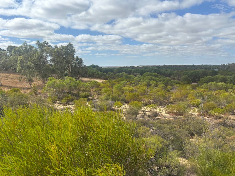 Lot 9678 Geraldton Mount Magnet Road, Wicherina, WA, 6532 - Image 5