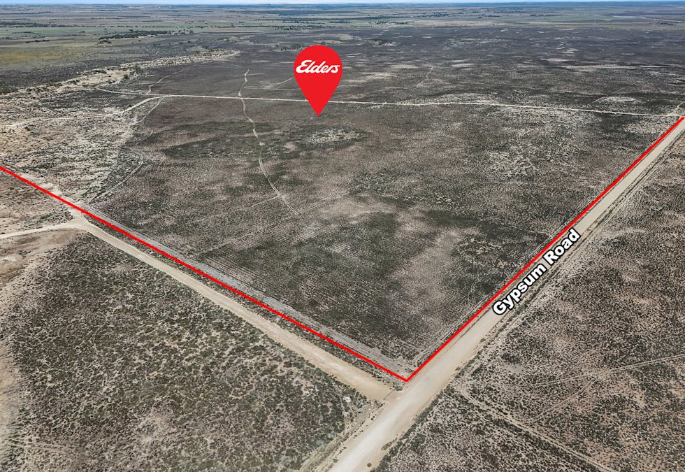 20 Gypsum Road, Cooke Plains, SA, 5261 - Image 12