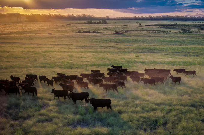 159L Peak Hill Road, Dubbo, NSW, 2830 - Image 1