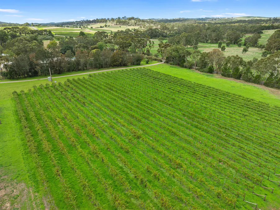 30 Gillentown Road, Gillentown, SA, 5453 - Image 33