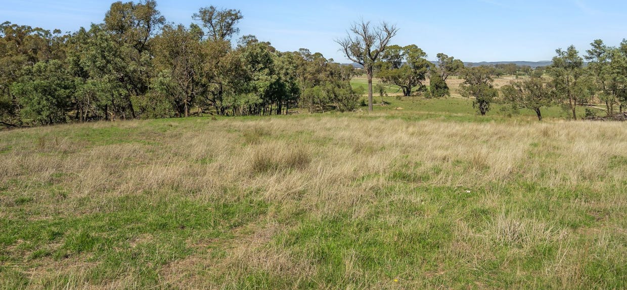 51 Parsons Lane, Goulburn, NSW, 2580 - Image 21