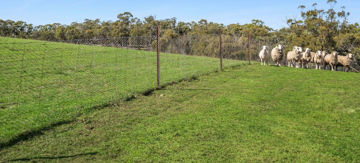 51 Parsons Lane, Goulburn, NSW, 2580 - Image 20