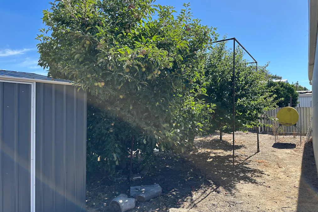 25 Golf Links Road, Katanning, WA, 6317 - Image 31