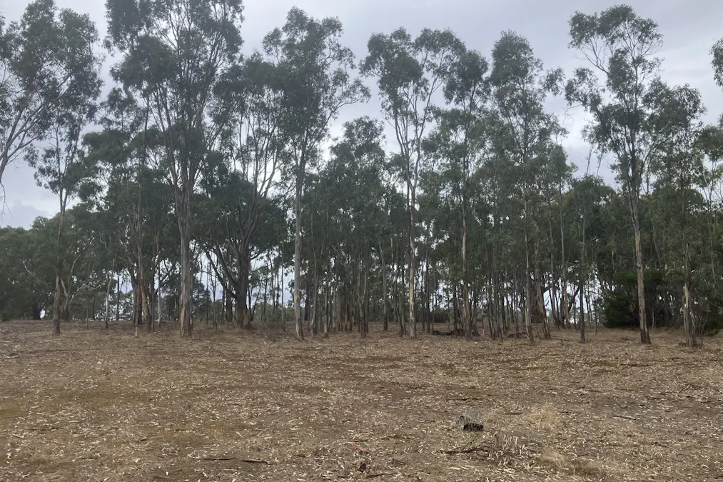 59 J McDonalds Road, Edenhope, VIC, 3318 - Image 3